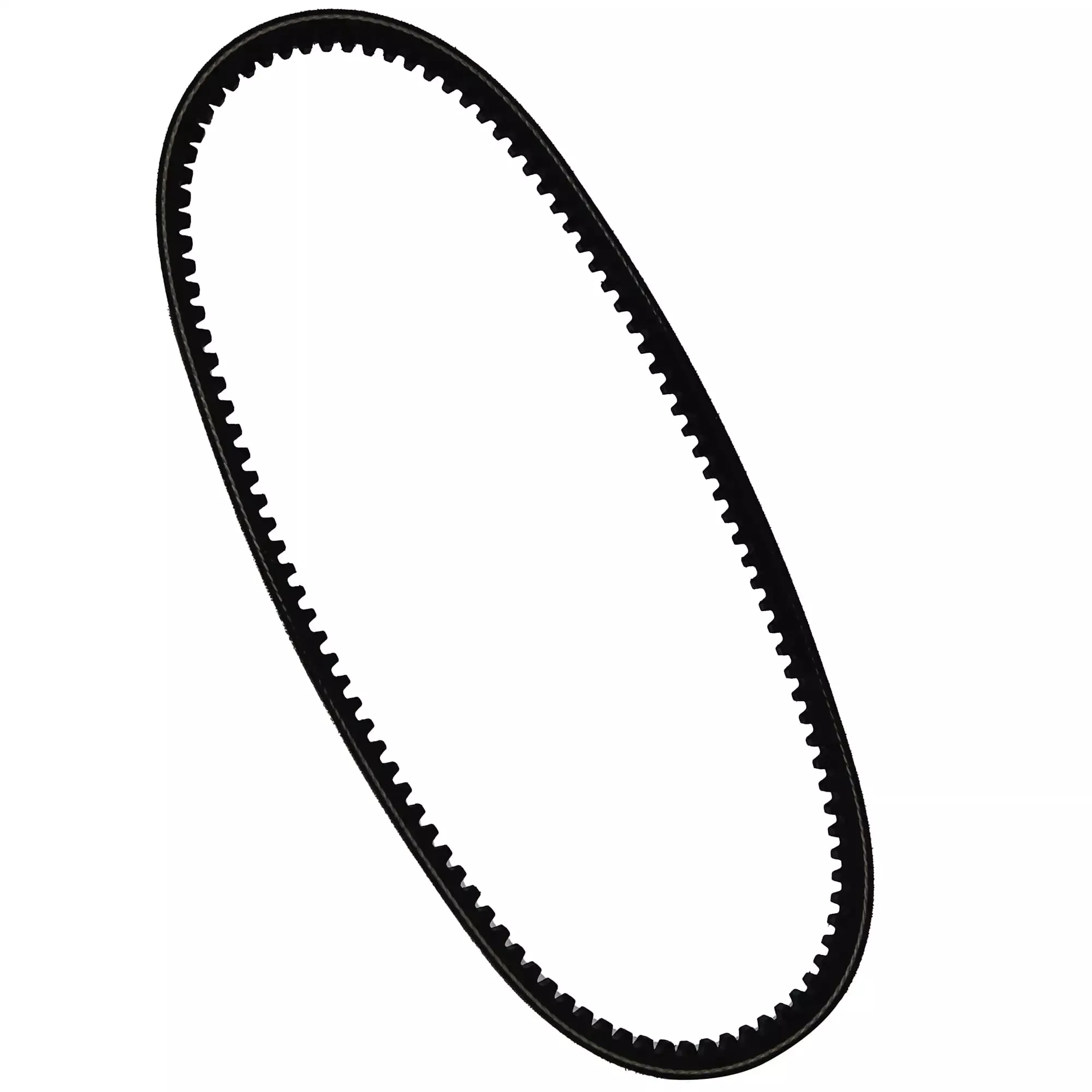 Alternator Belt