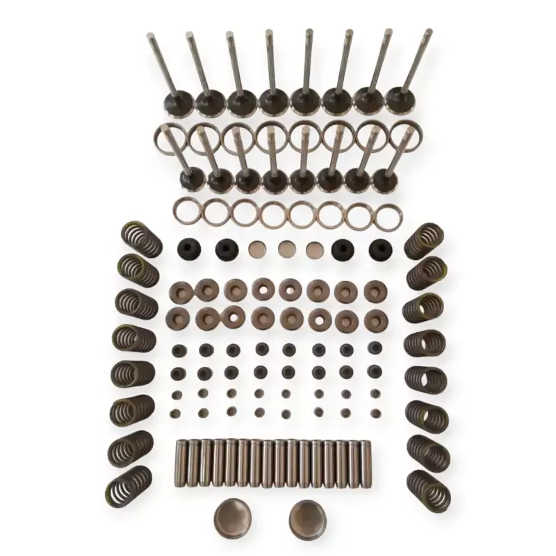 Cylinder Head Rebuild Kit for D24 Doosan Engine